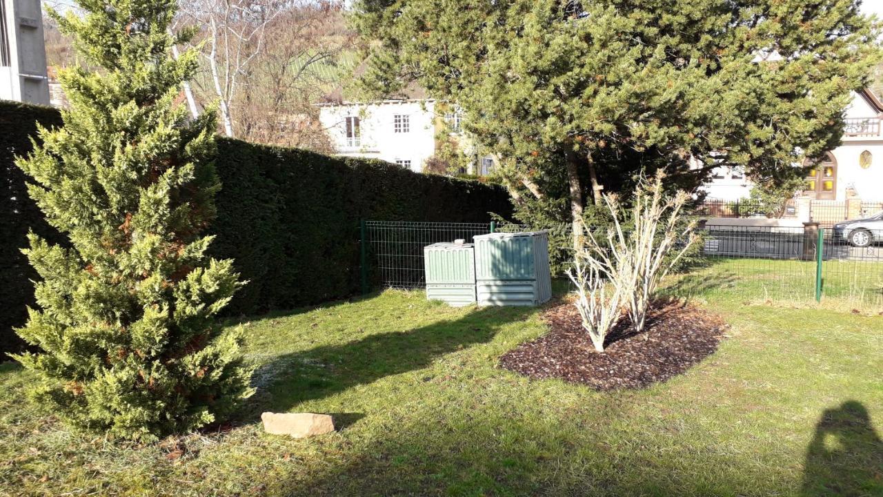 Villa/Appartement Au Coeur Des Vignes *** Barr Exterior photo